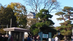 ���{�������������̑�V��