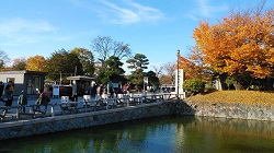 ���{����������̊O�x