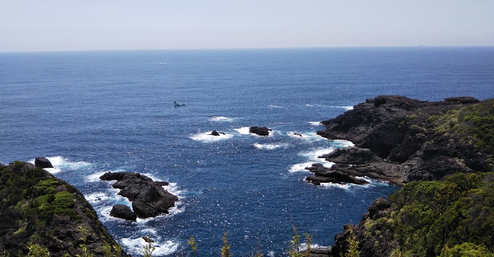 �ΘL��̓���~�n�����猩���C11:51