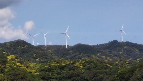 ���䂩�猩���������͔��d11:53