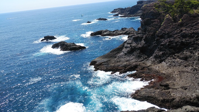 �F��_�Еt�߂���W�]�����C12:21