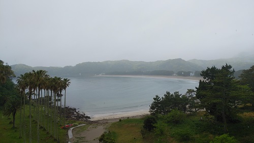 �J�̋|���l9:54