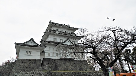 �L�ꑤ����ς��V��t