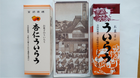 �َq�̂����낤