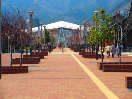 �C������w�ɂ�]��