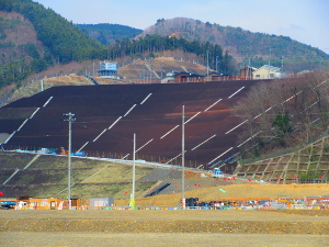 �V���ȑ����n�ɗ������V�z�Ɖ�