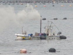 �|���|���D