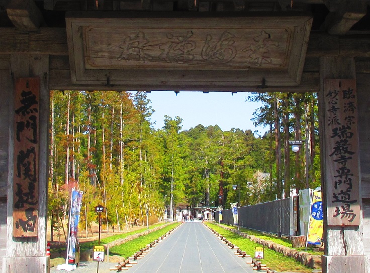 ���ގ����傩��̕��i