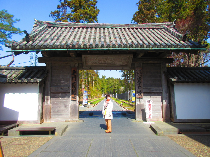 ���ގ�����ōȎB�e