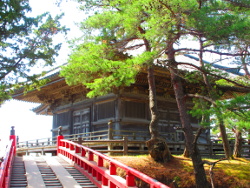 ��������ܑ̌哰