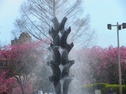 �����ƍ�