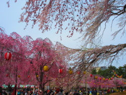 �g����_������