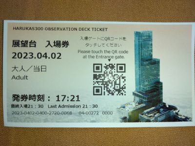 �n���J�X300 ���ꌔ