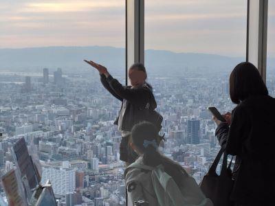 ���ׂ̃n���J�X�W�]�� �z�ޔT����񑾗z������