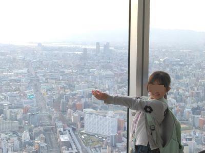 ���ׂ̃n���J�X�̓W�]��� �z�ޔT����񑾗z������