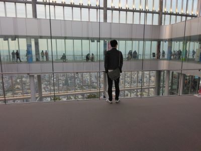 ���ׂ̃n���J�X�W�]�� �|�Y����̔w��