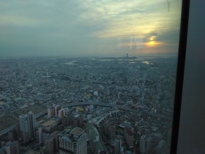 ���ׂ̃n���J�X�̓W�]��� ������������̊C��