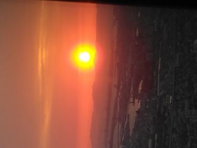 ���ׂ̃n���J�X�W�]�� �^���Ԃ̗[�Ă�