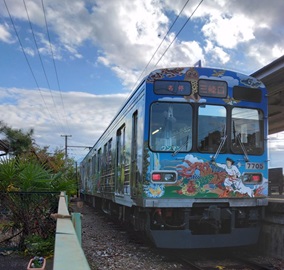 �����S���̓d��