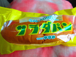 �T���_�p��