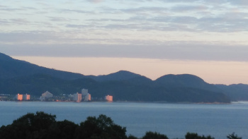 �z�e������̒��Ă��̕��i