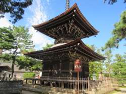 �q����_����