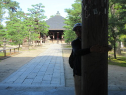 �R�傩��{���̕��i