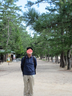 �V�������ŎB�e