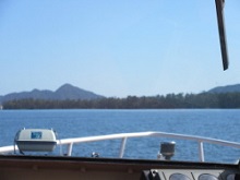 �@�D�����猩�����V����