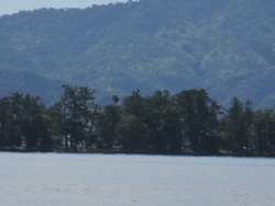 �@�D�����猩�����V����